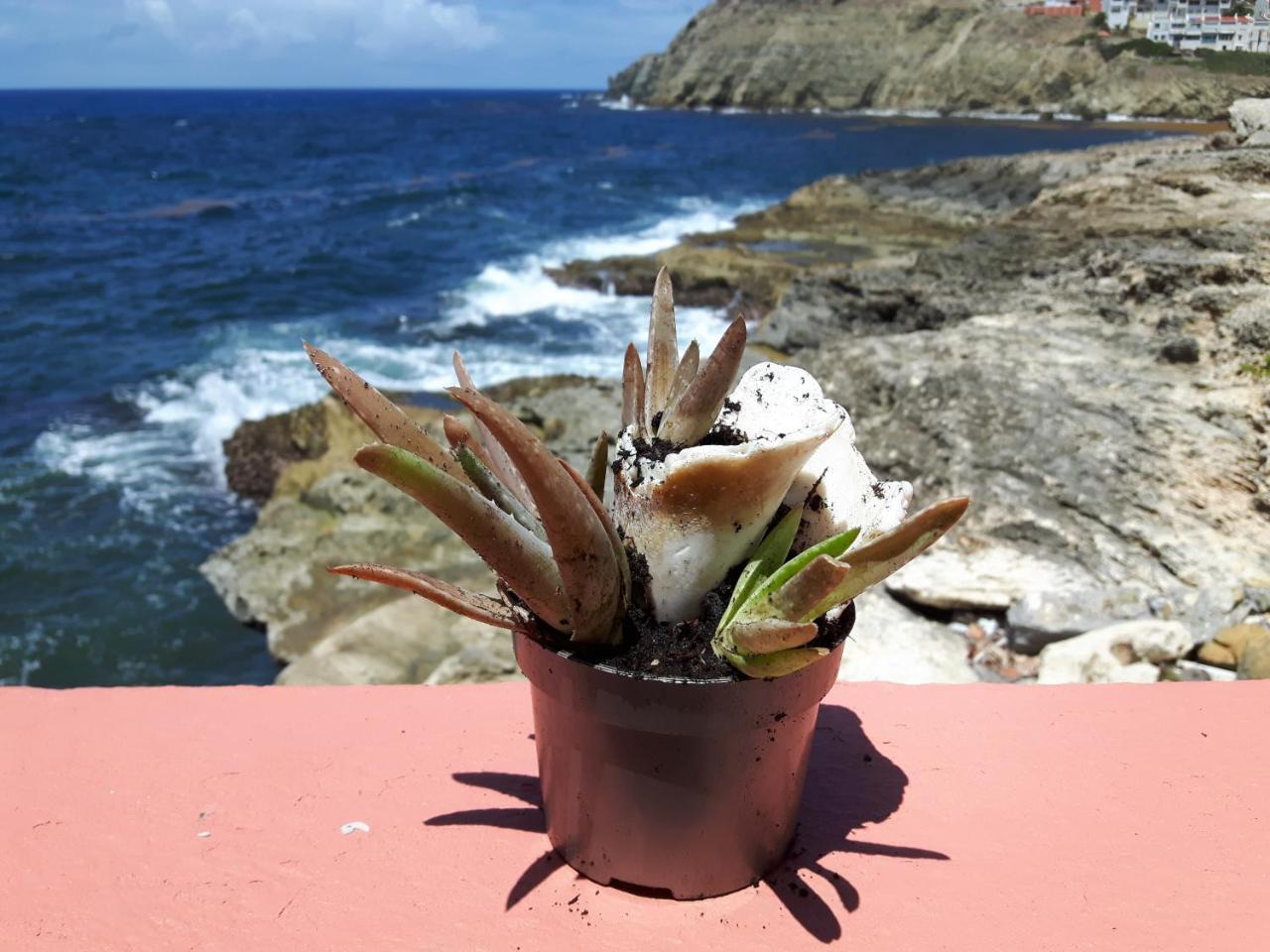 Ocean Shore Philipsburg  Buitenkant foto